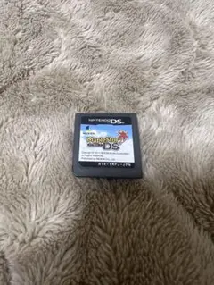 ※週末限定価格 メイプルストーリーDS ニンテンドーDS ゲームソフト