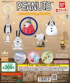 PEANUTS めじるしアクセサリー FUNNY ver.