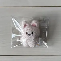 2026年最新】skzoo アイエンの人気アイテム - メルカリ