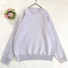 美品★ 【A DAY IN THE LIFE】 ニットカットソー (M) グレー