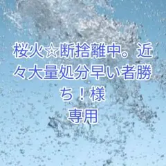 〈桜火☆断捨離中。様　専用〉天然石ブレスレット