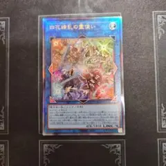 四花繚乱の霊使い　レリーフ　遊戯王