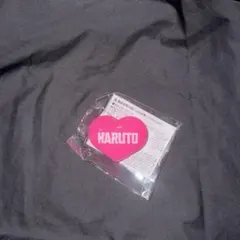 treasureハルト カプセルトイ