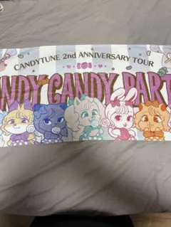 CANDYTUNE 2周年記念タオル 2025年最新】candy tune タオルの人気アイテム - メルカリ