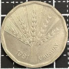 ウルグアイ 5ヌエボペソ 1980年 国旗 外国コイン 古銭 - メルカリ
