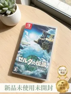 ゼルダの伝説 ティアーズ オブ ザ キングダム
