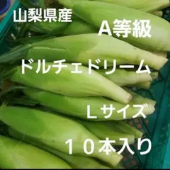 0️⃣ 山梨県産 ドルチェドリーム A品Ｌサイズ １０本入りのサムネイル