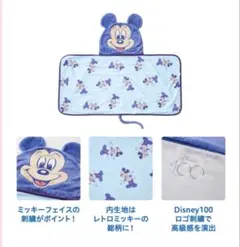 新品・未使用⭐︎Disney100オリジナルデザインなりきりブランケット