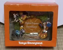 東京ディズニーランド フォトフレーム 2002