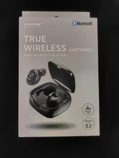 HIDISC 完全ワイヤレスイヤホン HD-WGT08BK（黒）