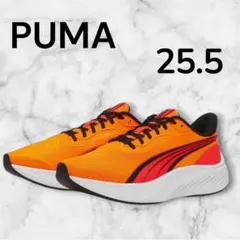 新品タグ付 PUMA POUNCE LITE WIDE 25.5
