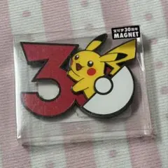 ピカチュウ マグネット 30周年 中国限定 ポケモン - メルカリ