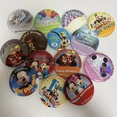 フロリダディズニーワールド　缶バッチ　14個セットのサムネイル