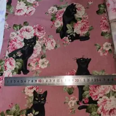 Item thumbnail for item 77d028b6-b513-40e2-a027-2f9ff7ebfa32