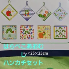 はらぺこあおむし　＊新品＊　ループ付タオル　他　25cm×25cm