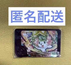 ポケモン　フレンダ　シェイミ