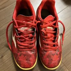 フットサルシューズ　モナルシーダm NEO