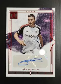 世界5枚限定 PANINI ジョアン・パリーニャ 直筆サイン auto