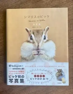 Item thumbnail for item 31163f08-cf08-47c5-b773-5685729bab86