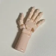 オリーブハンド　ペールオレンジ　ハンドモデル