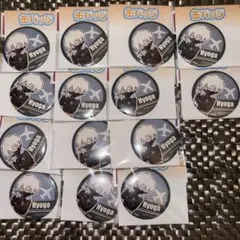 氷月　フライトジャケット　缶バッジ　Dr.stone 14個