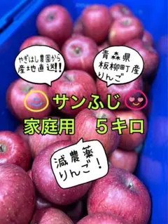 青森県産サンふじ家庭用。減農薬。終盤だからこそ特別傷なしも入ってます！