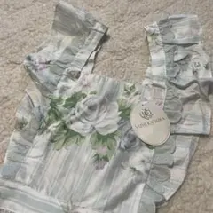 Item thumbnail for item 7db9892d-2599-4d20-85ee-eb92577f67c5