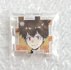 天野明展 リボーン アクリルパズルコレクション 沢田綱吉 ツナ