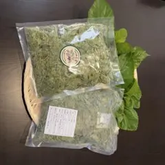 桑の葉茶