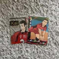 ハイキュー　バボカ　音駒　海