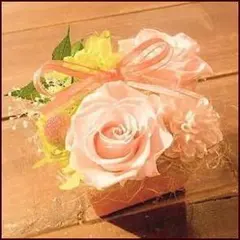 Item thumbnail for item 7335e393-9ade-43db-be75-5f64c56e204e