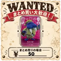 セイイチ　amiibo あつ森　アミーボカード