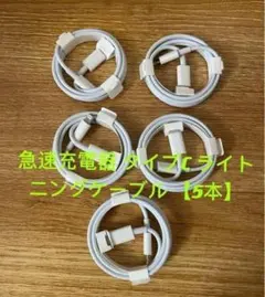 急速充電器 タイプC ライトニングケーブル 5本 sv