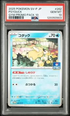 2025 ポケモン コダック GYM PROMO PSA10、6二枚セット鑑定品 2026年最新】コダック 【SV-P 262/SV-P】の人気アイテム - メルカリ