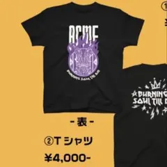 Item thumbnail for item 1ec04be6-d247-43bf-8727-5e3ef09b88d2