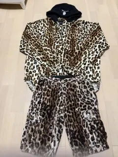 Item thumbnail for item 5add5ffc-89d7-49ae-863d-314373aaf484