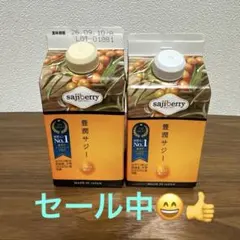 フィネス 豊潤サジー300ml×2本のサムネイル