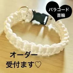 Item thumbnail for item 06b99c52-b519-46da-801d-a4e630aec453