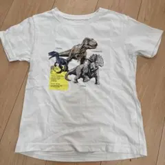 ジュラシック・ワールド恐竜Tシャツ 120cm アイボリー