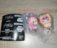 スキズ skzoo つまんでつなげてますこっと トゥエッキ パピーム