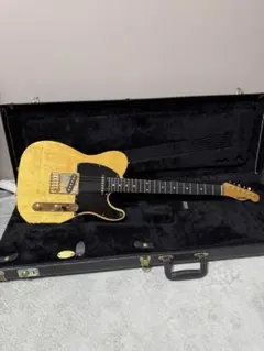 SCHECTER シェクター PW-PT-KR NT 上位モデルのサムネイル