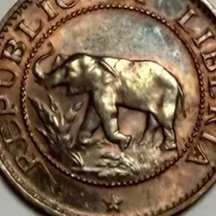 ひよっこ様 リクエスト 2点 まとめ商品