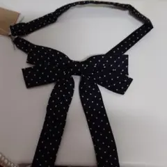 Item thumbnail for item 045d4a2b-e5ba-4065-97ae-91f918cee944