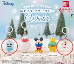 ディズニーキャラクター めじるしアクセサリー Winter スノーギース ゼロ