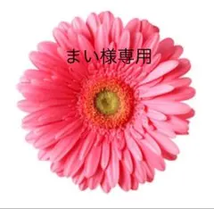 まい様専用ページ