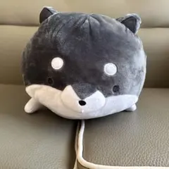 Item thumbnail for item 6e26721a-f6ae-44b4-a112-e5e3b00c140f