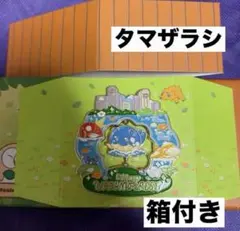 韓国 限定 ポケモン シークレットフォレスト 限定 ピンバッジ
