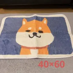 Item thumbnail for item 2a7e1335-c370-4ef1-bd27-ec8420737d5b