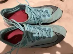 【レア】NIKE ZOOM FLY3