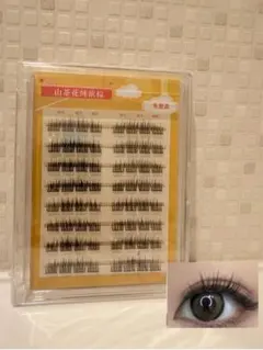 Item thumbnail for item be1f8010-8575-42a7-9a3e-6320ee43c69b